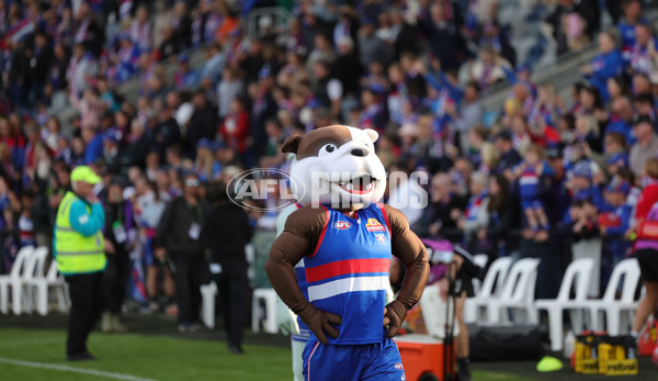AFL 2025 Round 08 - Western Bulldogs v Port Adelaide - A-59151972