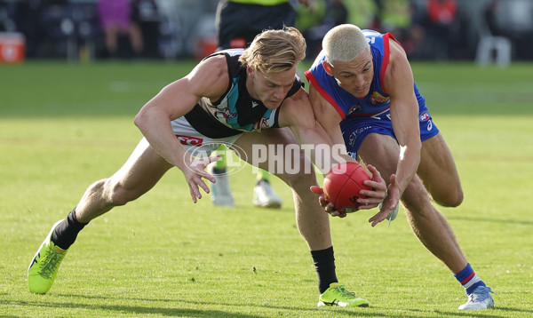 AFL 2025 Round 08 - Western Bulldogs v Port Adelaide - A-59153189