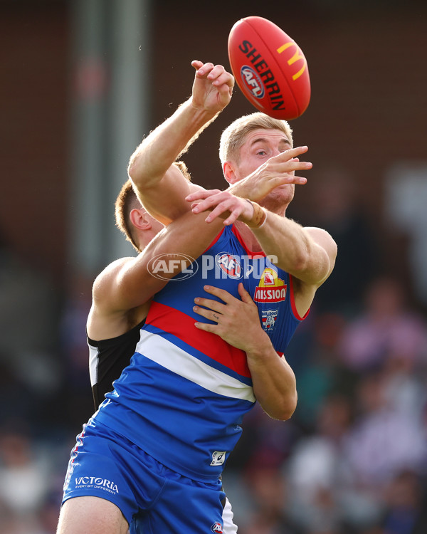 AFL 2025 Round 08 - Western Bulldogs v Port Adelaide - A-59153210