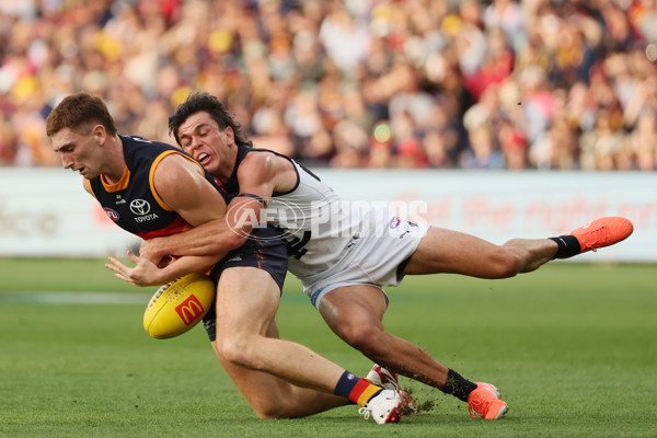 AFL 2025 Round 08 - Adelaide v Carlton - A-59153245