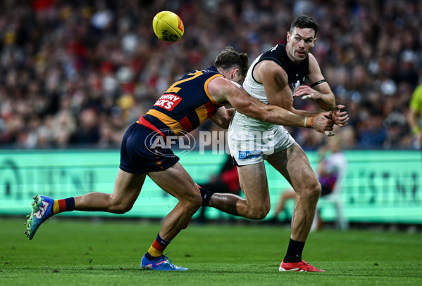 AFL 2025 Round 08 - Adelaide v Carlton - A-59156752