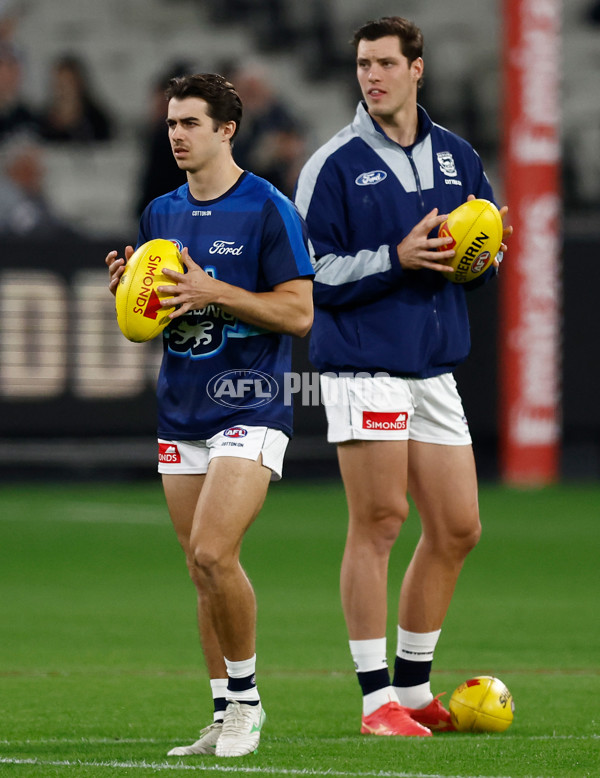 AFL 2025 Round 08 - Collingwood v Geelong - A-59156785