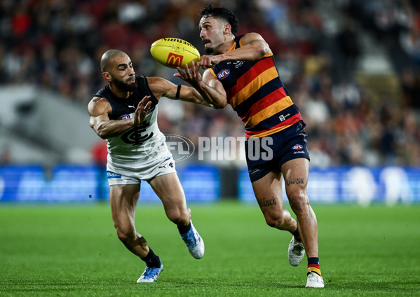 AFL 2025 Round 08 - Adelaide v Carlton - A-59156807