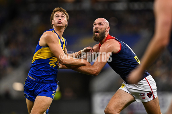 AFL 2025 Round 08 - West Coast v Melbourne - A-59163350