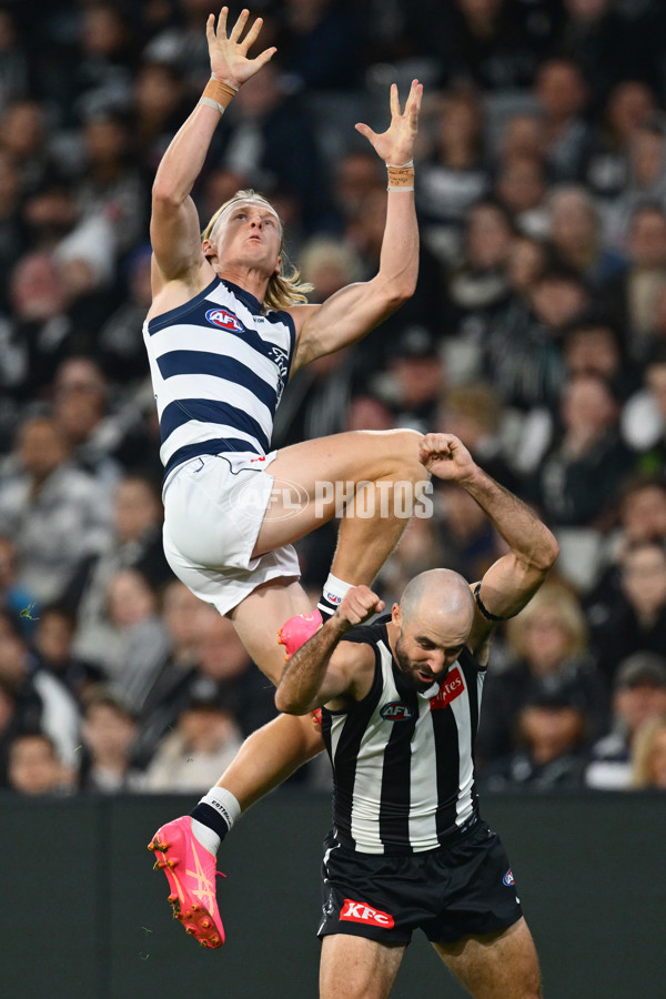AFL 2025 Round 08 - Collingwood v Geelong - A-59163921