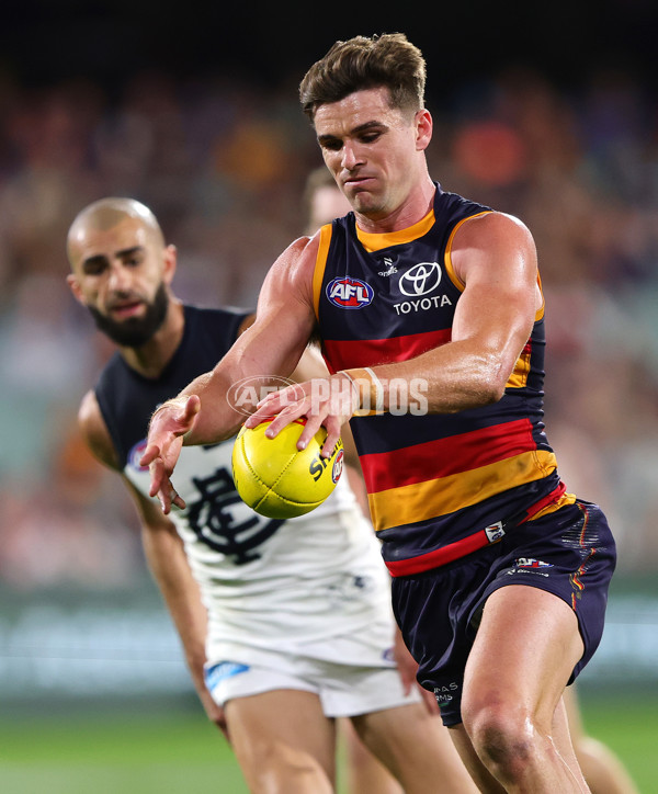 AFL 2025 Round 08 - Adelaide v Carlton - A-59163953