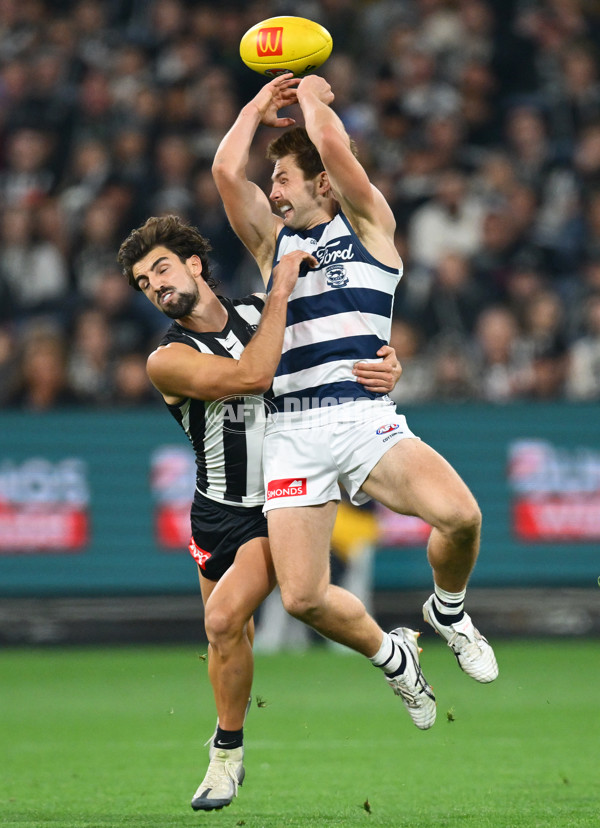 AFL 2025 Round 08 - Collingwood v Geelong - A-59172493