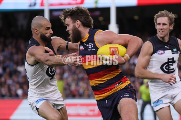 AFL 2025 Round 08 - Adelaide v Carlton - A-59177465
