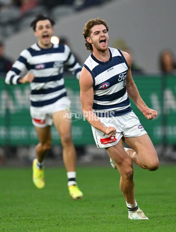 AFL 2025 Round 08 - Collingwood v Geelong - A-59177505