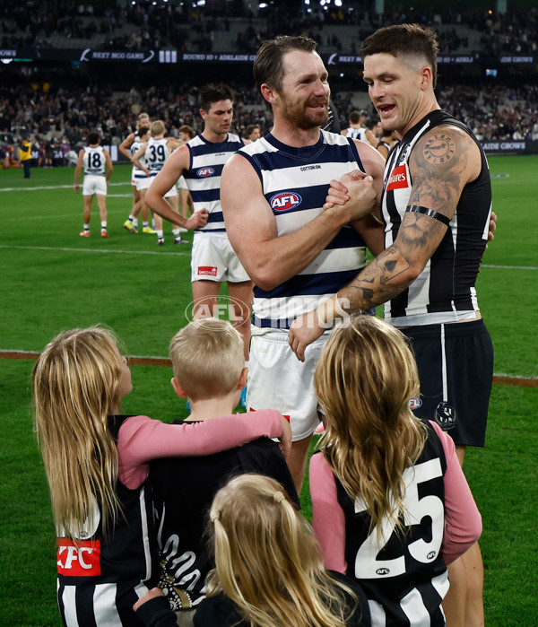 AFL 2025 Round 08 - Collingwood v Geelong - A-59178424