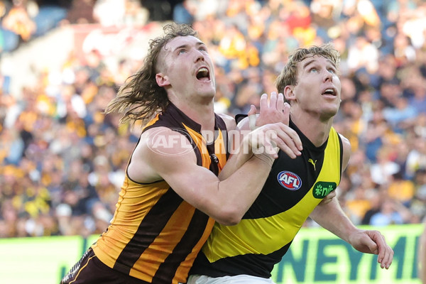 AFL 2025 Round 08 - Hawthorn v Richmond - A-59199089