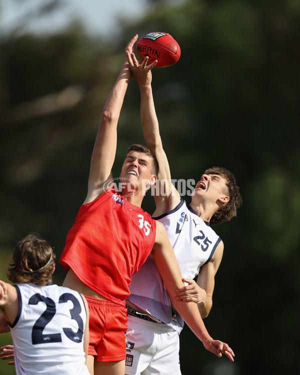 Young Guns Series 2025 - Young Guns v Victoria Country U18 Boys - A-59199127
