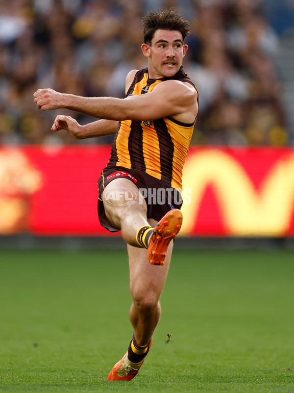 AFL 2025 Round 08 - Hawthorn v Richmond - A-59202119