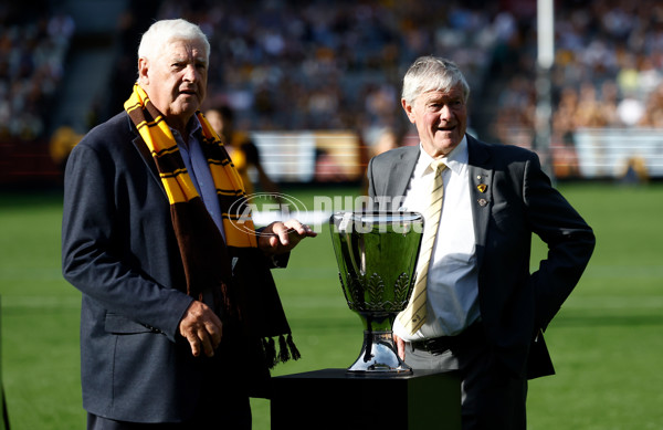AFL 2025 Round 08 - Hawthorn v Richmond - A-59206824