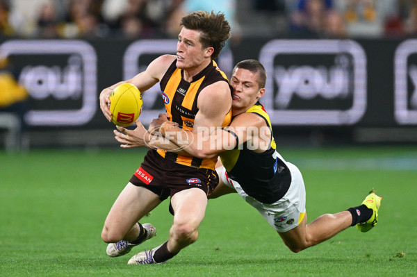 AFL 2025 Round 08 - Hawthorn v Richmond - A-59206883
