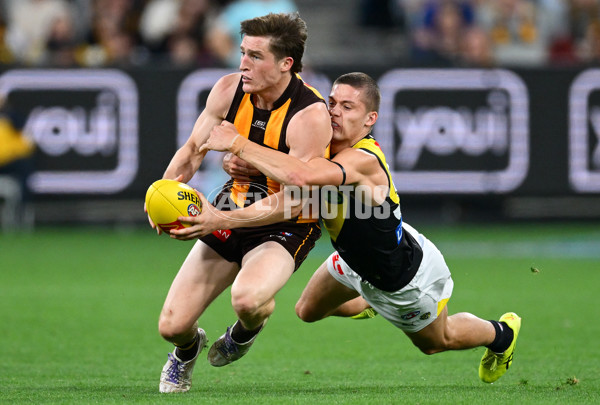AFL 2025 Round 08 - Hawthorn v Richmond - A-59206987