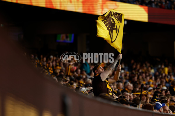 AFL 2025 Round 08 - Hawthorn v Richmond - A-59214889