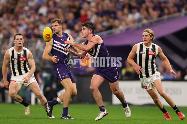 AFL 2025 Round 09 - Fremantle v Collingwood - A-59345830