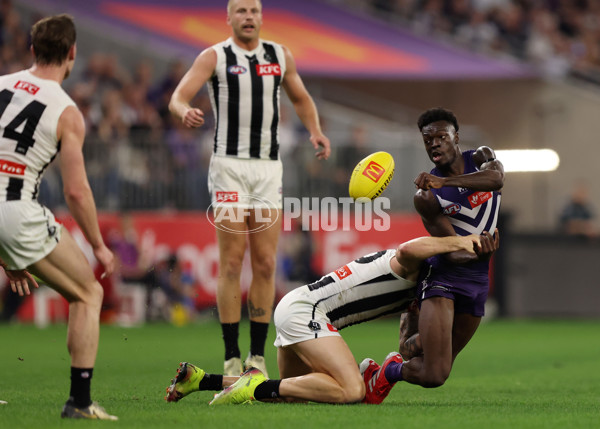 AFL 2025 Round 09 - Fremantle v Collingwood - A-59347100