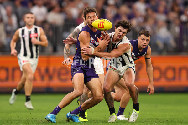 AFL 2025 Round 09 - Fremantle v Collingwood - A-59348443