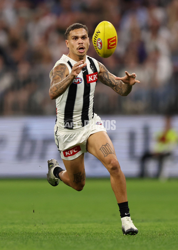 AFL 2025 Round 09 - Fremantle v Collingwood - A-59348499
