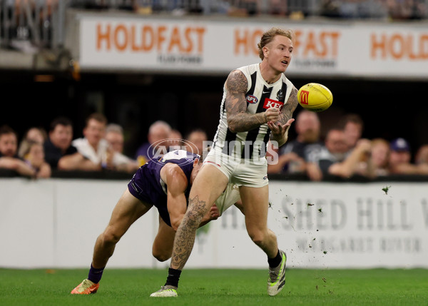 AFL 2025 Round 09 - Fremantle v Collingwood - A-59349657