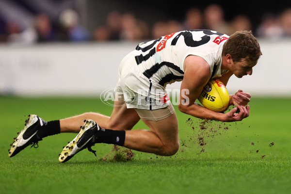 AFL 2025 Round 09 - Fremantle v Collingwood - A-59350843