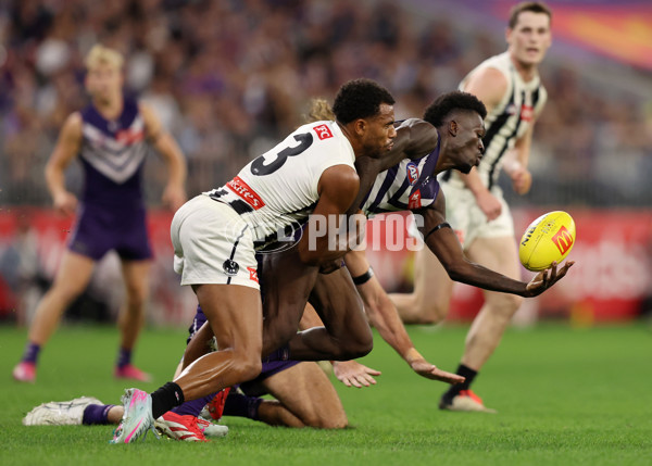 AFL 2025 Round 09 - Fremantle v Collingwood - A-59352265