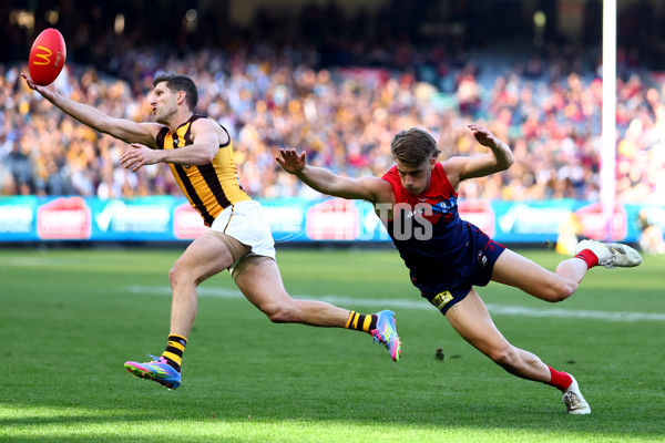 AFL 2025 Round 09 - Melbourne v Hawthorn - A-59372946