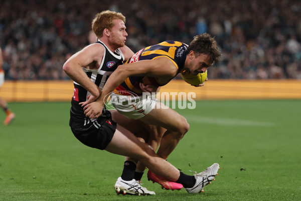 AFL 2025 Round 09 - Port Adelaide v Adelaide - A-59397163