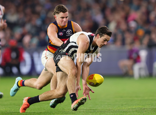 AFL 2025 Round 09 - Port Adelaide v Adelaide - A-59402043