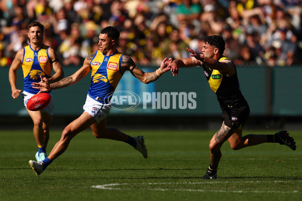 AFL 2025 Round 09 - Richmond v West Coast - A-59410105