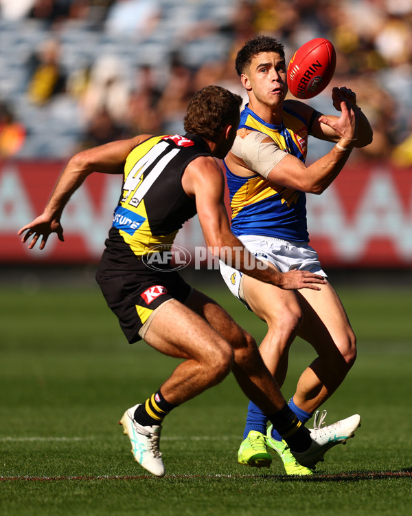 AFL 2025 Round 09 - Richmond v West Coast - A-59411653