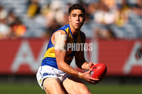 AFL 2025 Round 09 - Richmond v West Coast - A-59411654