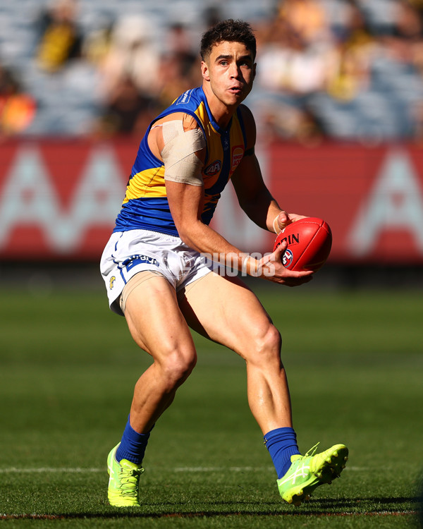 AFL 2025 Round 09 - Richmond v West Coast - A-59411655