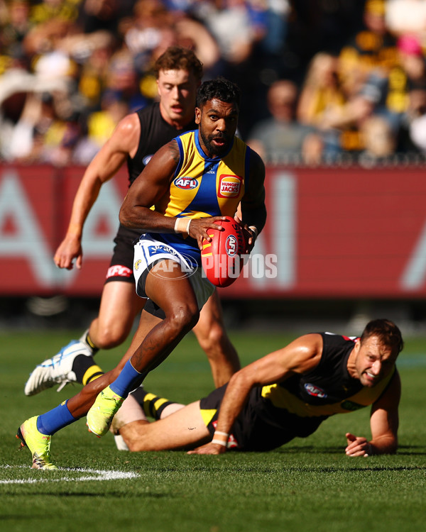 AFL 2025 Round 09 - Richmond v West Coast - A-59411656