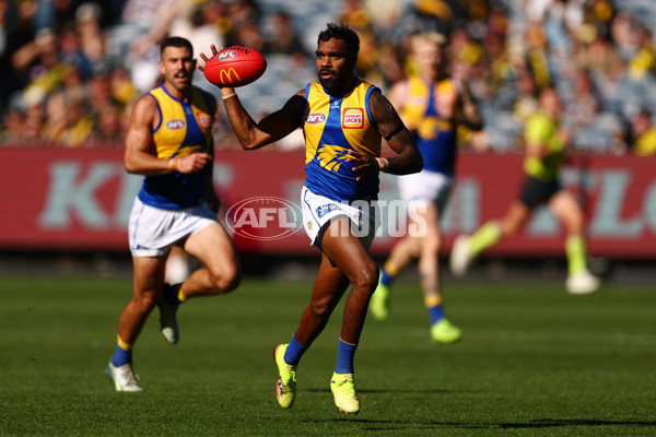 AFL 2025 Round 09 - Richmond v West Coast - A-59412952