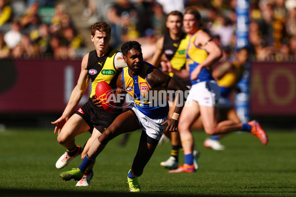 AFL 2025 Round 09 - Richmond v West Coast - A-59413001