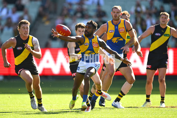 AFL 2025 Round 09 - Richmond v West Coast - A-59414775
