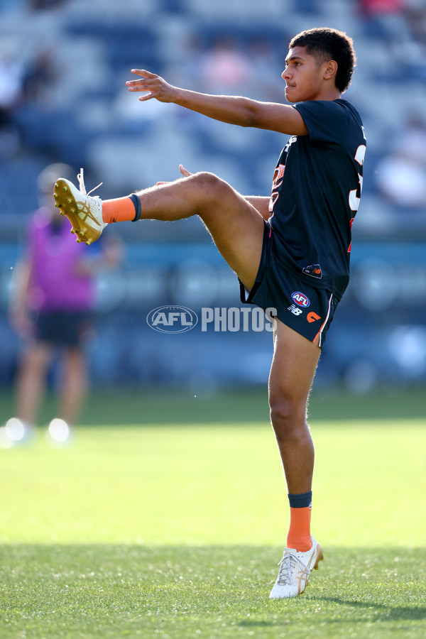 AFL 2025 Round 09 - Geelong v GWS - A-59414812