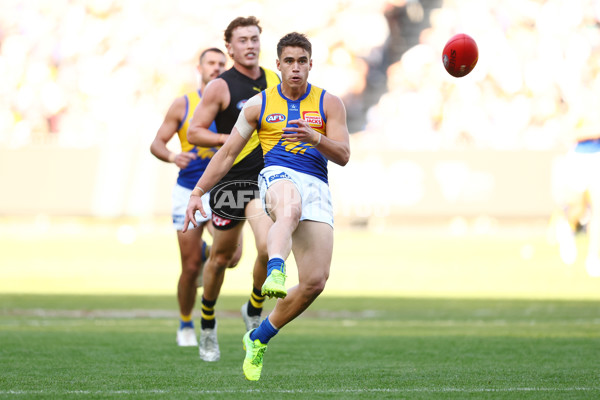 AFL 2025 Round 09 - Richmond v West Coast - A-59414856
