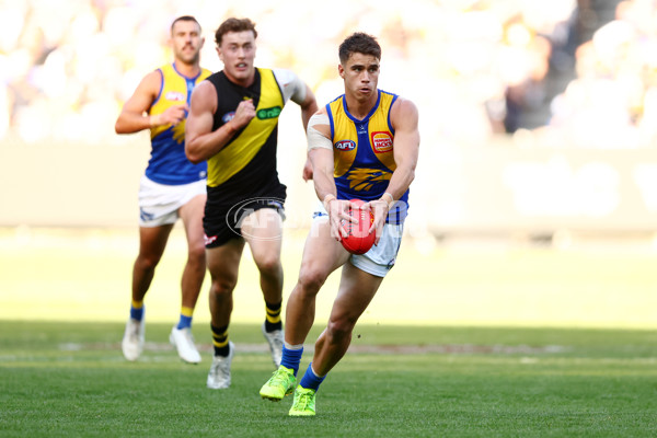 AFL 2025 Round 09 - Richmond v West Coast - A-59414857