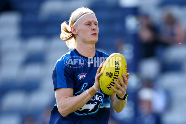 AFL 2025 Round 09 - Geelong v GWS - A-59415776