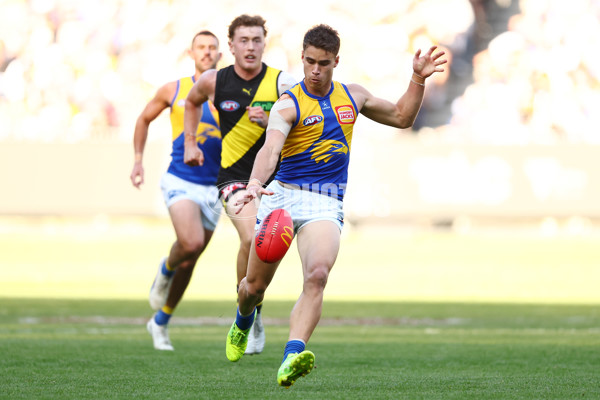 AFL 2025 Round 09 - Richmond v West Coast - A-59415821