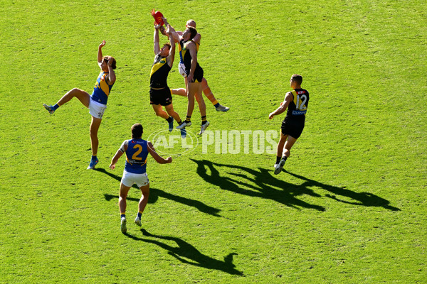 AFL 2025 Round 09 - Richmond v West Coast - A-59415823
