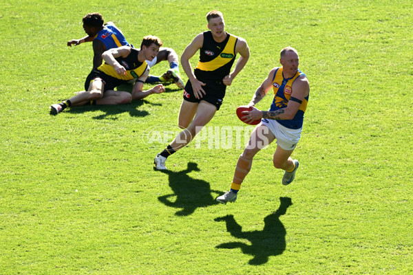 AFL 2025 Round 09 - Richmond v West Coast - A-59415852