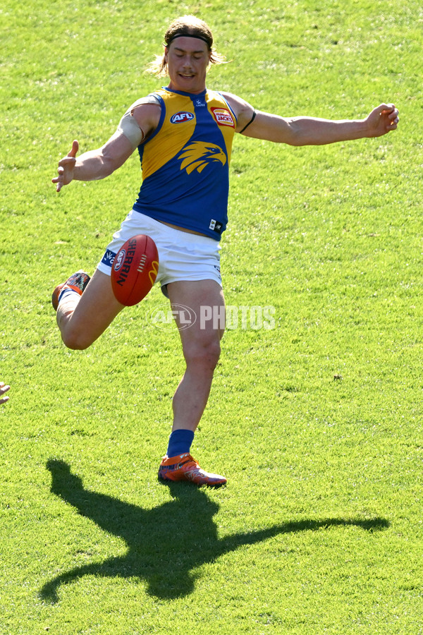 AFL 2025 Round 09 - Richmond v West Coast - A-59415855