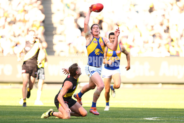 AFL 2025 Round 09 - Richmond v West Coast - A-59417504