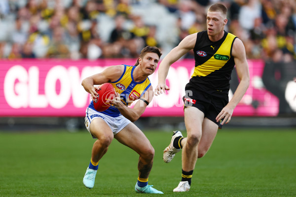 AFL 2025 Round 09 - Richmond v West Coast - A-59418911