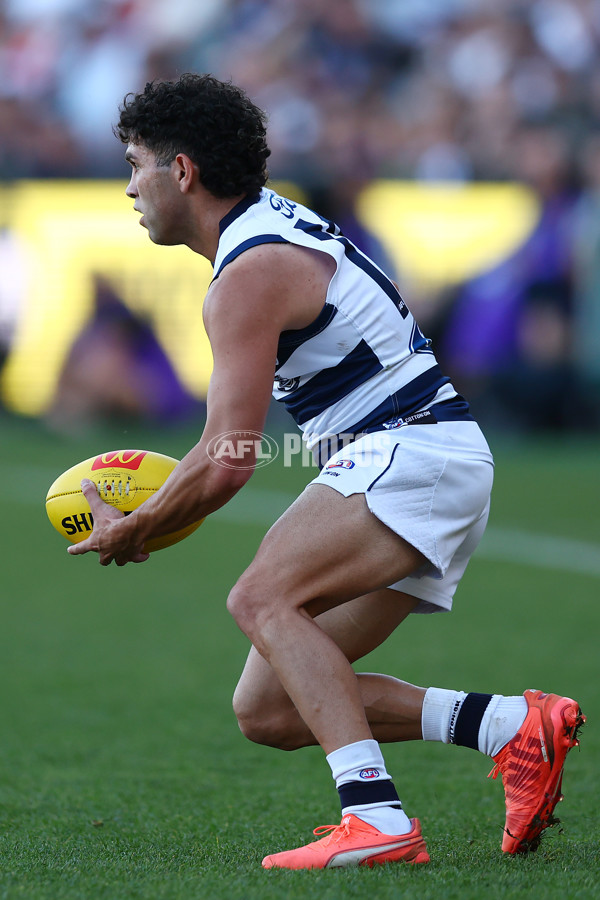 AFL 2025 Round 09 - Geelong v GWS - A-59420870